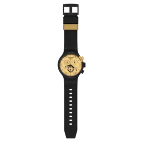 Checkpoint Golden Checkpoint Golden