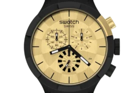 Checkpoint Golden Standard Checkpoint Golden Standard