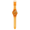 Pacific Sea Nettle Pacific Sea Nettle